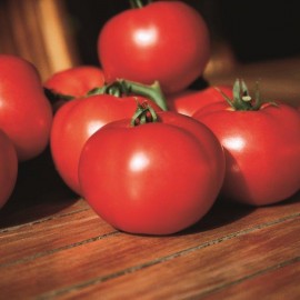 Tomate Fantasio