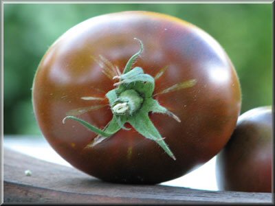 Tomate Noire Crimée