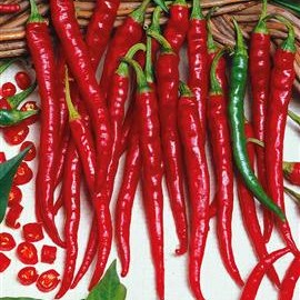 Piment Cayenne